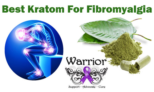 Best Kratom for Fibromyalgia 2024? 5 Kratom Strains to Treat Fibromyalgia Pain!